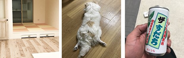 ①以前お客様と一緒にフリープランで作った思い出のお家です。娘様のご希望で素敵な和室ができました。共に悩みながら造りました。　②家族の福くんです。休日は一緒に公園に行くことが至福の時間です。　③寝起きに飲んだら最高に美味しいジュースです。皆さんも見つけたら買ってみてください！